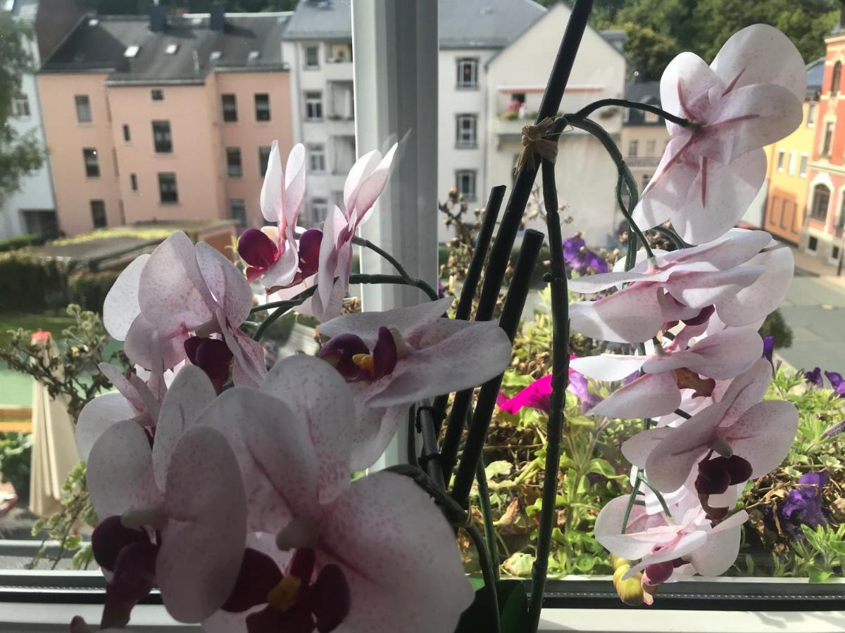 Apartment Enno 奥尔巴赫 外观 照片